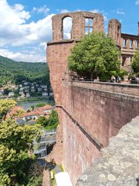 Heidelberg (7)